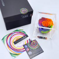FlowerCube ARCOBALENO - Immagine 3