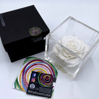 FlowerCube Bianco - Immagine 4
