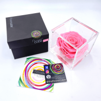 FlowerCube Rosa - Immagine 4