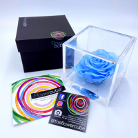 FlowerCube Azzurro - Immagine 4