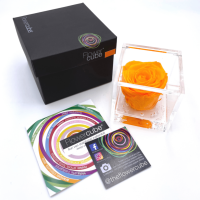 FlowerCube Arancio - Immagine 3