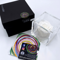 FlowerCube Bianco - Immagine 3