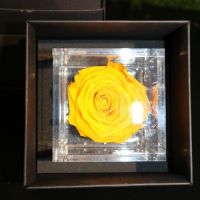FlowerCube Giallo - Immagine 2