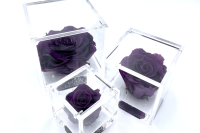 FlowerCube Nero - Immagine 1