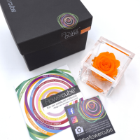 FlowerCube Arancio - Immagine 2
