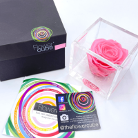 FlowerCube Rosa - Immagine 3