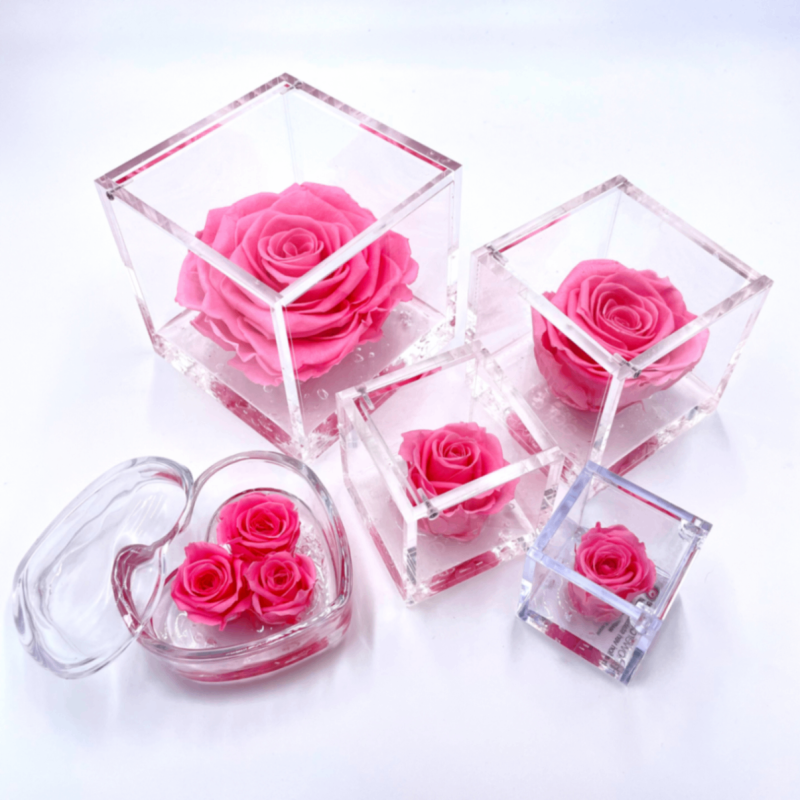 FlowerCube Rosa - Fiori Stabilizzati | Creazioni di Miriam Vercelli