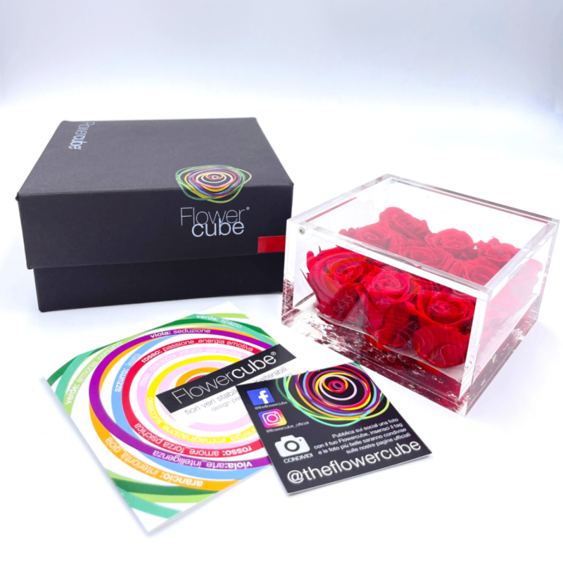 FlowerCube 9 - Fiori Stabilizzati | Creazioni di Miriam Vercelli