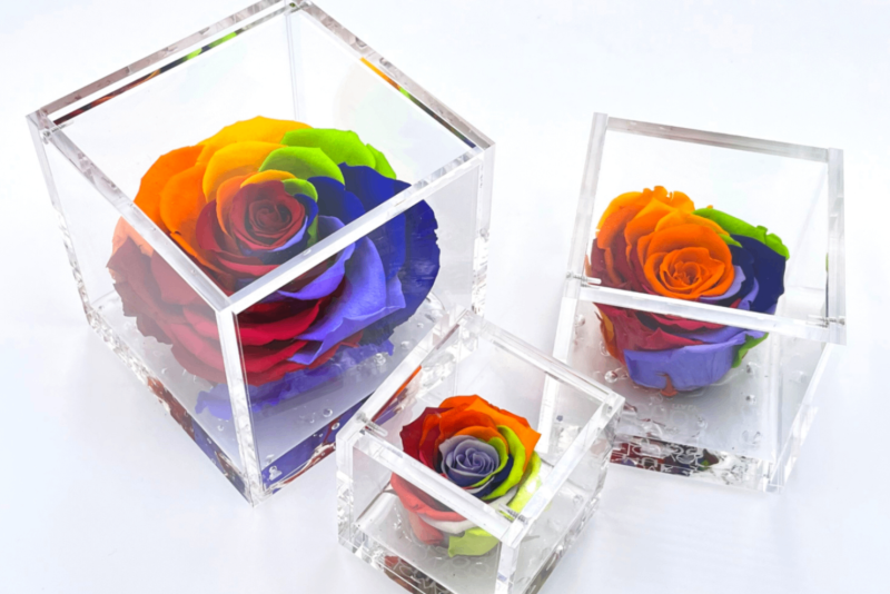 FlowerCube ARCOBALENO - Fiori Stabilizzati | Creazioni di Miriam Vercelli