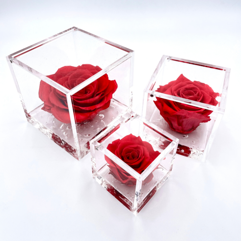 FlowerCube Corallo - Fiori Stabilizzati | Creazioni di Miriam Vercelli