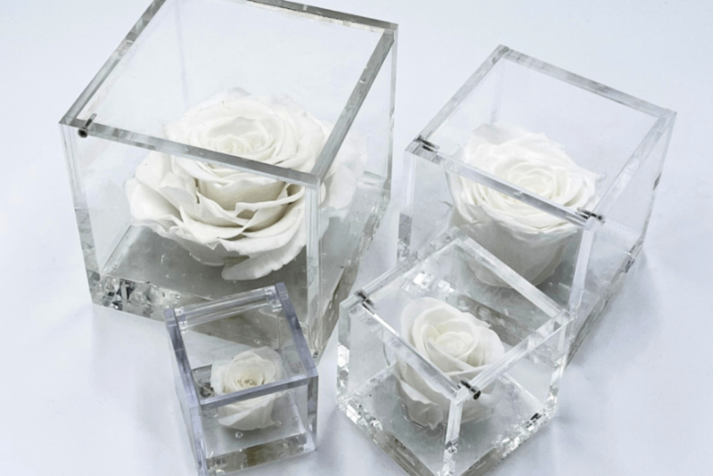 FlowerCube Bianco - Fiori Stabilizzati | Creazioni di Miriam Vercelli