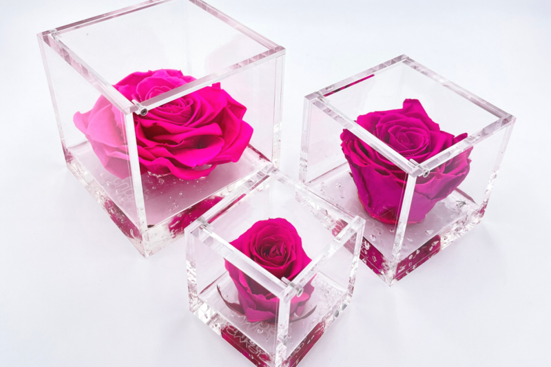 FlowerCube Fucsia - Fiori Stabilizzati | Creazioni di Miriam Vercelli