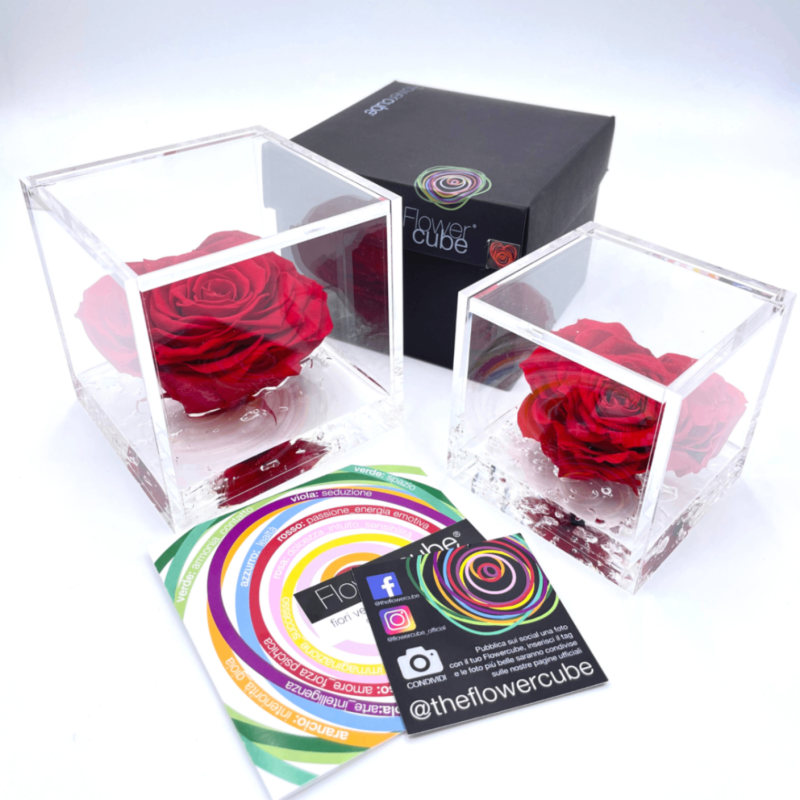 Flowercube Cuore - Fiori Stabilizzati | Creazioni di Miriam Vercelli