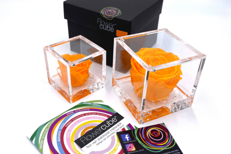 FlowerCube Arancio - Fiori Stabilizzati | Creazioni di Miriam Vercelli