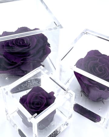 FlowerCube Nero – Creazioni di Miriam, Vercelli