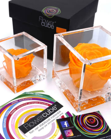 FlowerCube Arancio – Creazioni di Miriam, Vercelli