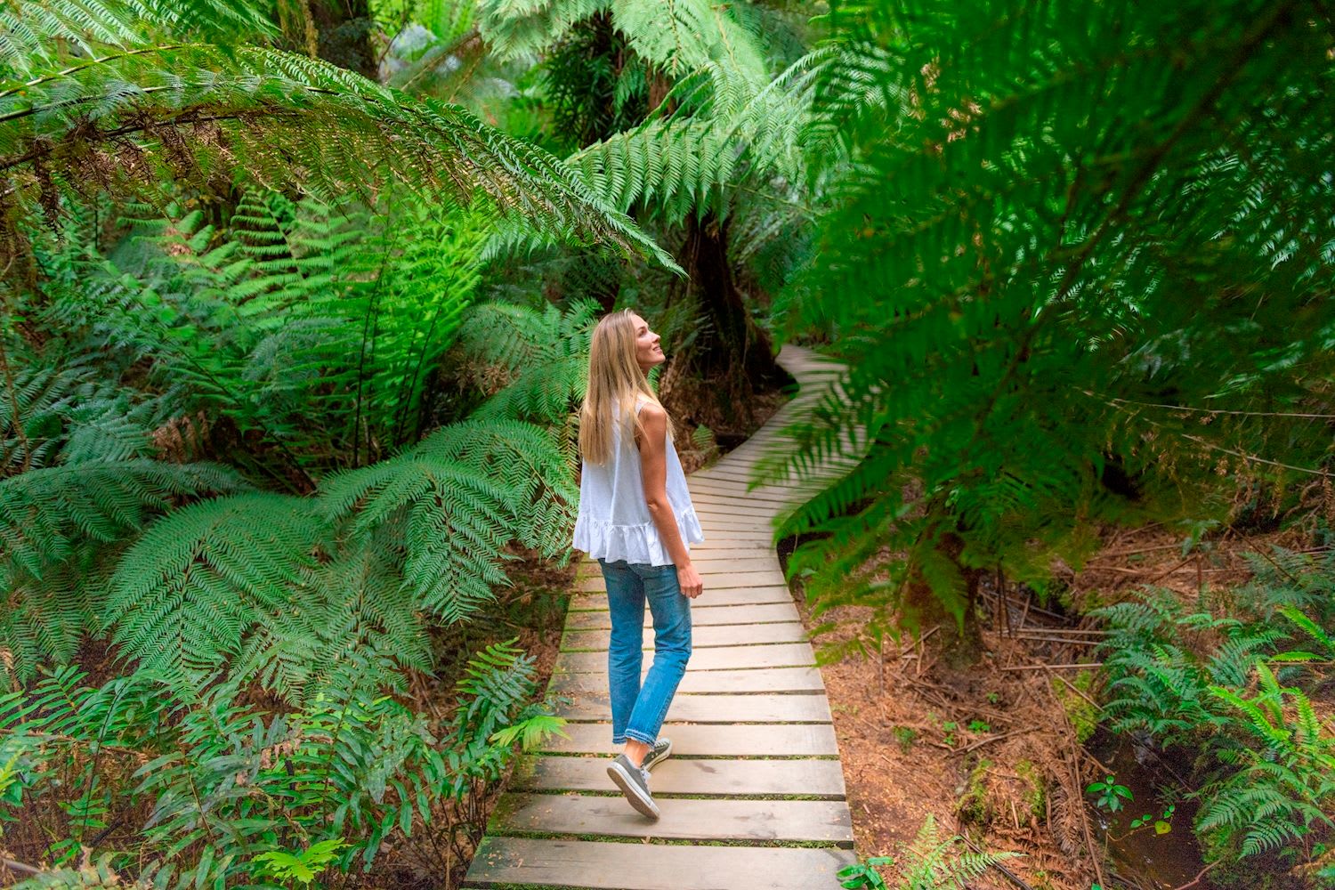 Melbourne to Adelaide 2 Day (Shared Accommodation) - Image 2