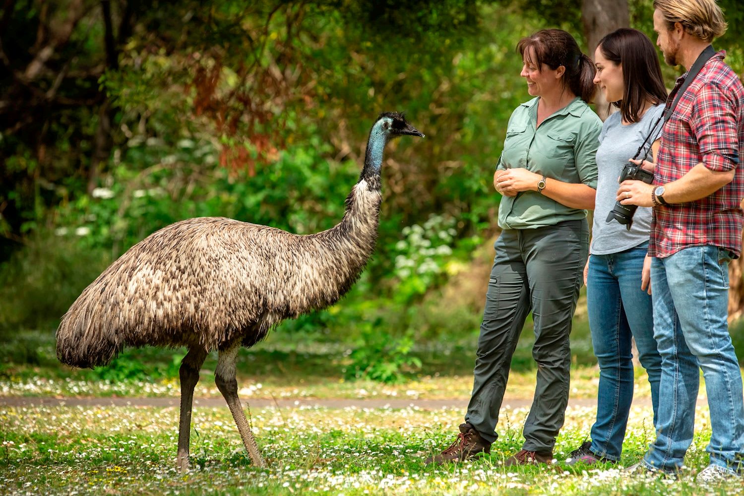 Adelaide to Melbourne 3 Day Tour (Shared Accommodation) - Image 3