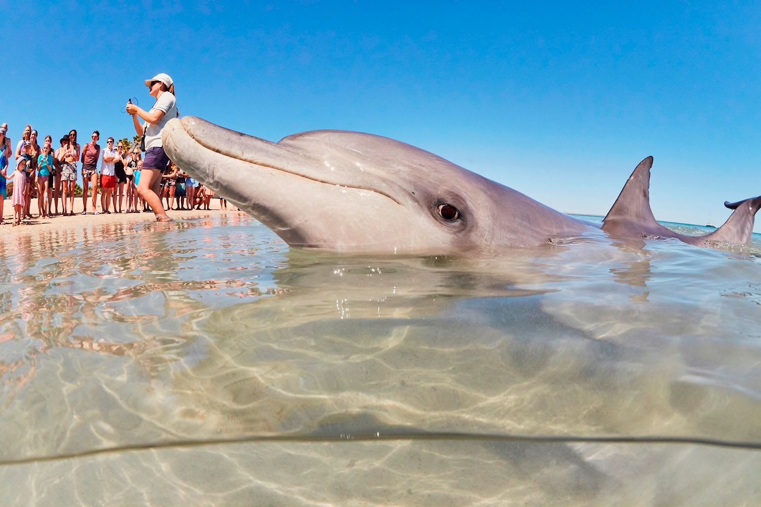 'Coastal Loop' Perth to Monkey Mia Return (Double/Twin Share)  - Image 3