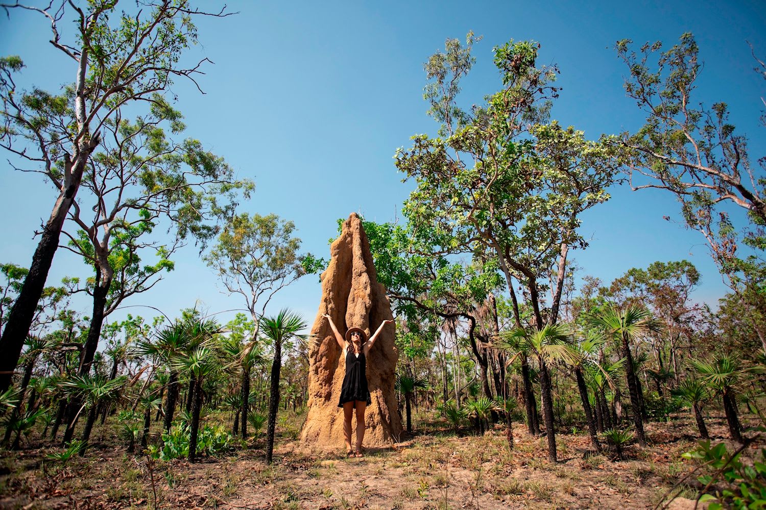 Litchfield National Park + Wetlands - Image 2