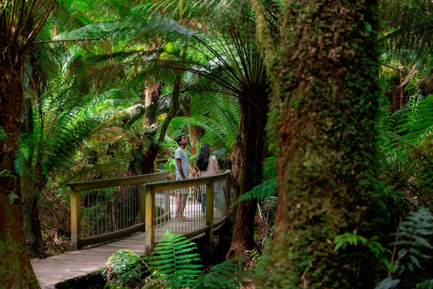 Adelaide to Melbourne 3 Day Tour (Private Single Ensuite) - Image 3