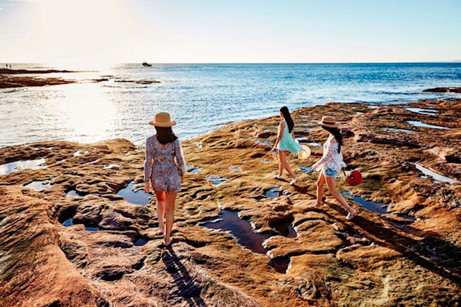 'Coastal Loop' Perth to Monkey Mia Return (Private Single Room)