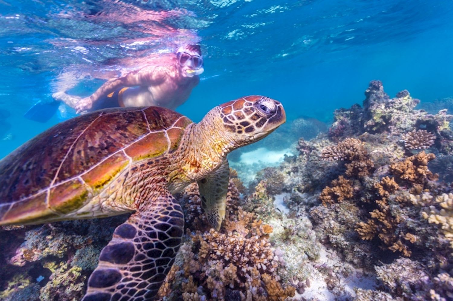 'Exmouth Explorer' Perth to Exmouth Return (Private Single Room)