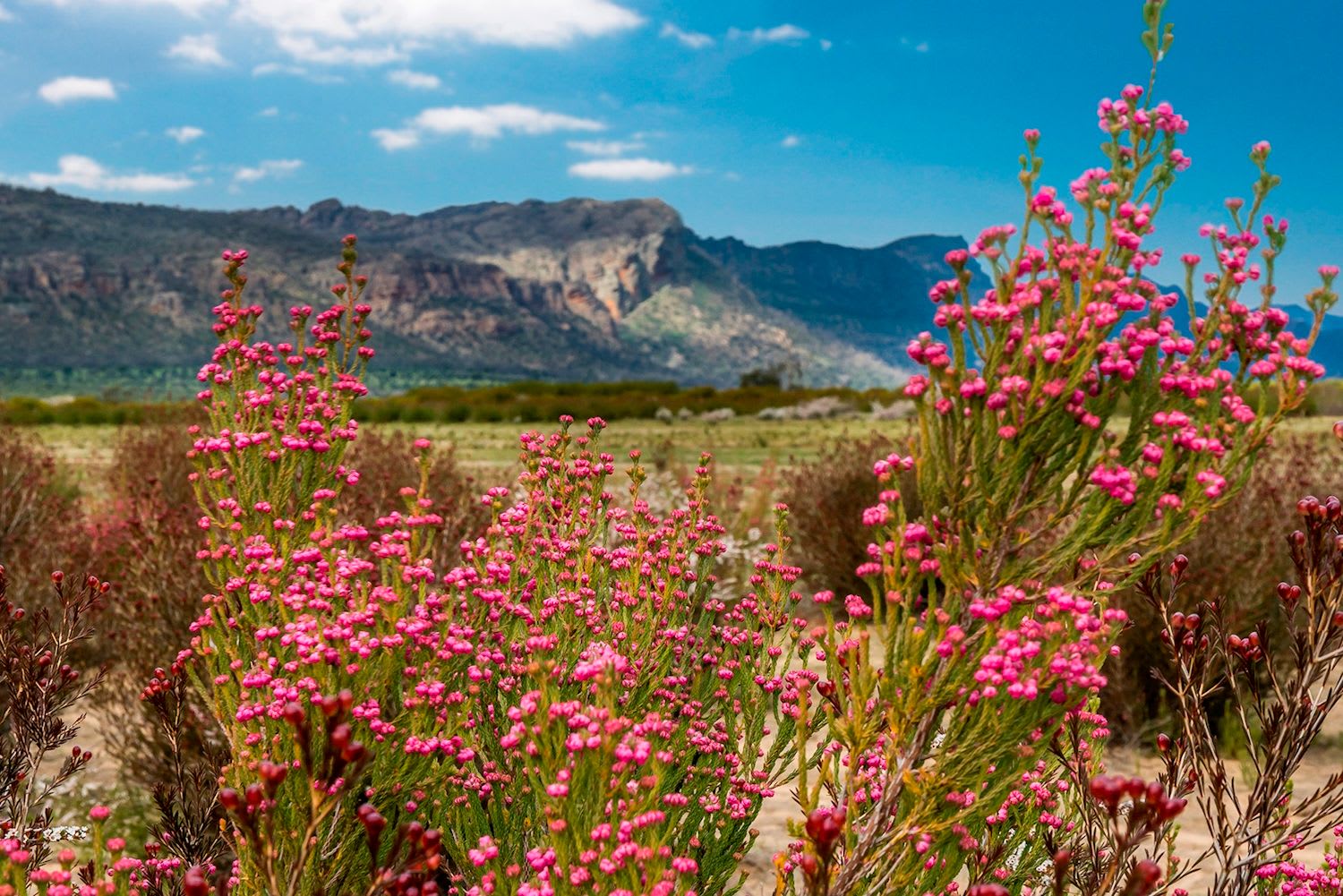 Great Ocean Road to Grampians Overnighter (Private Single Room) - Image 2