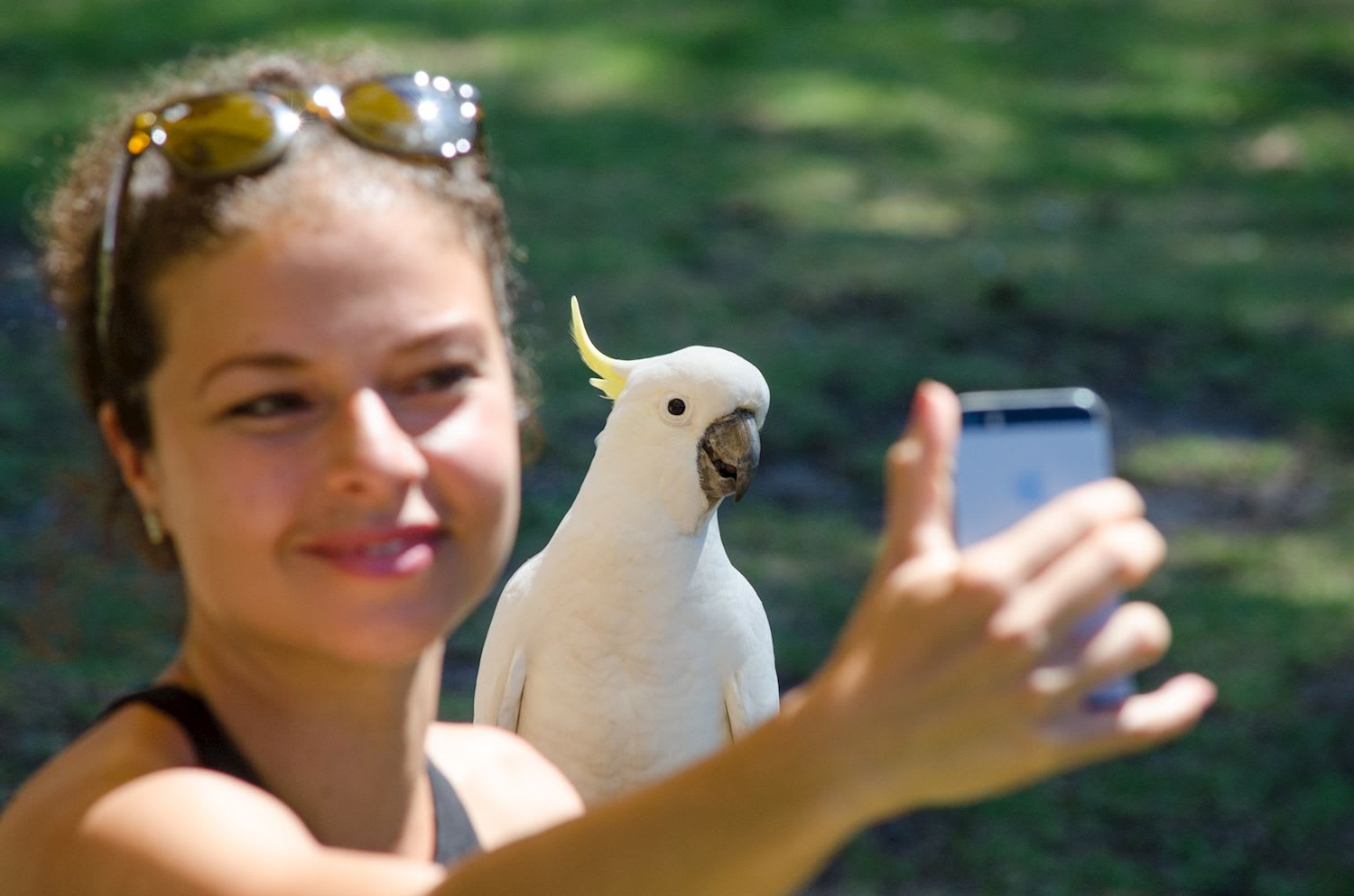 Great Ocean Road to Grampians 3 Day (Private Single Room)