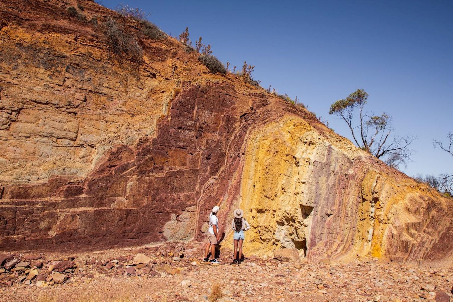 West MacDonnell Ranges Tjoritja Tour - Image 3
