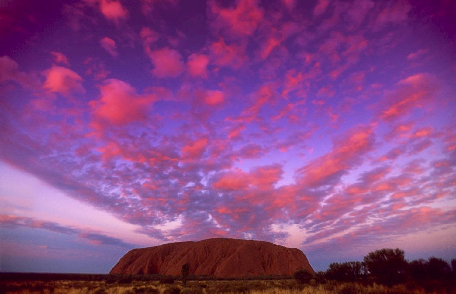 Red Centre Uluru & Kings Canyon Eco Tent Adventure [From Alice Springs / Ends Alice Springs or Yulara] - Image 3