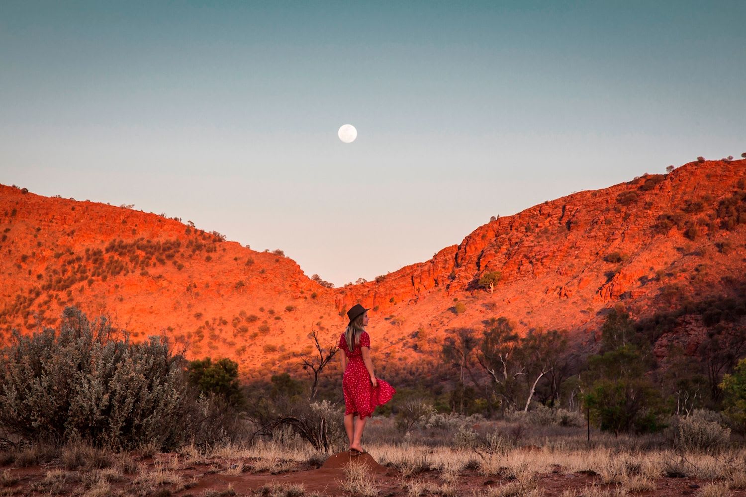 4-Day Uluru Kings Canyon to West MacDonnell Ranges - Safari Tent [from Ayers Rock] - Image 3