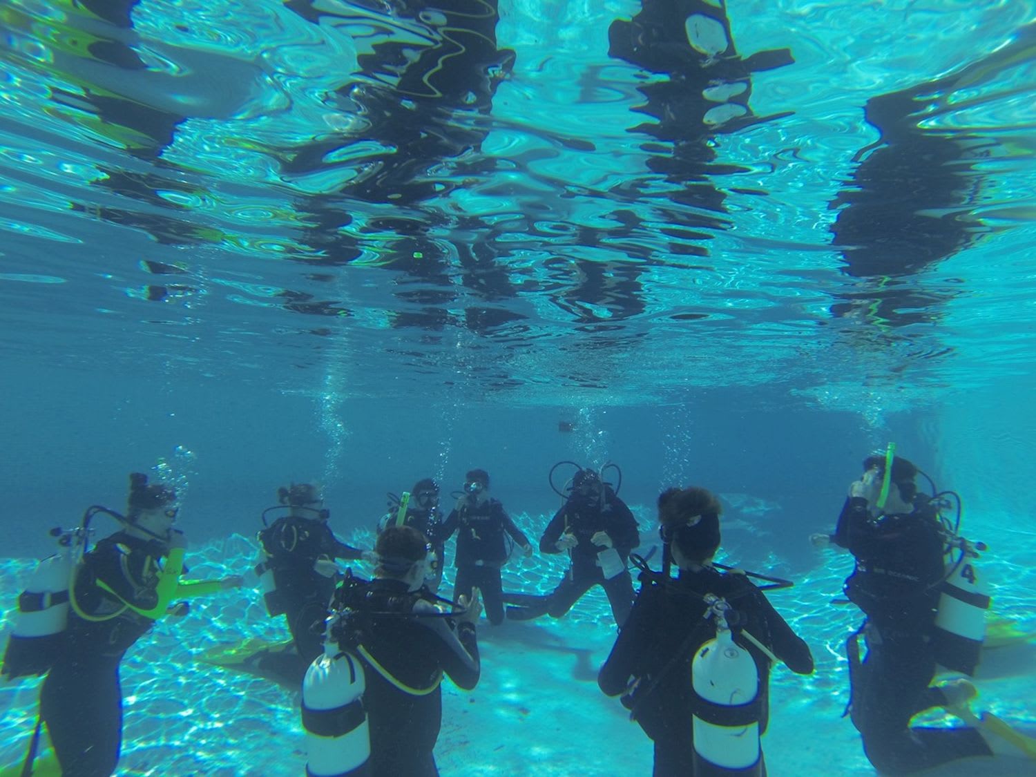 Tangalooma Scuba Diving Package