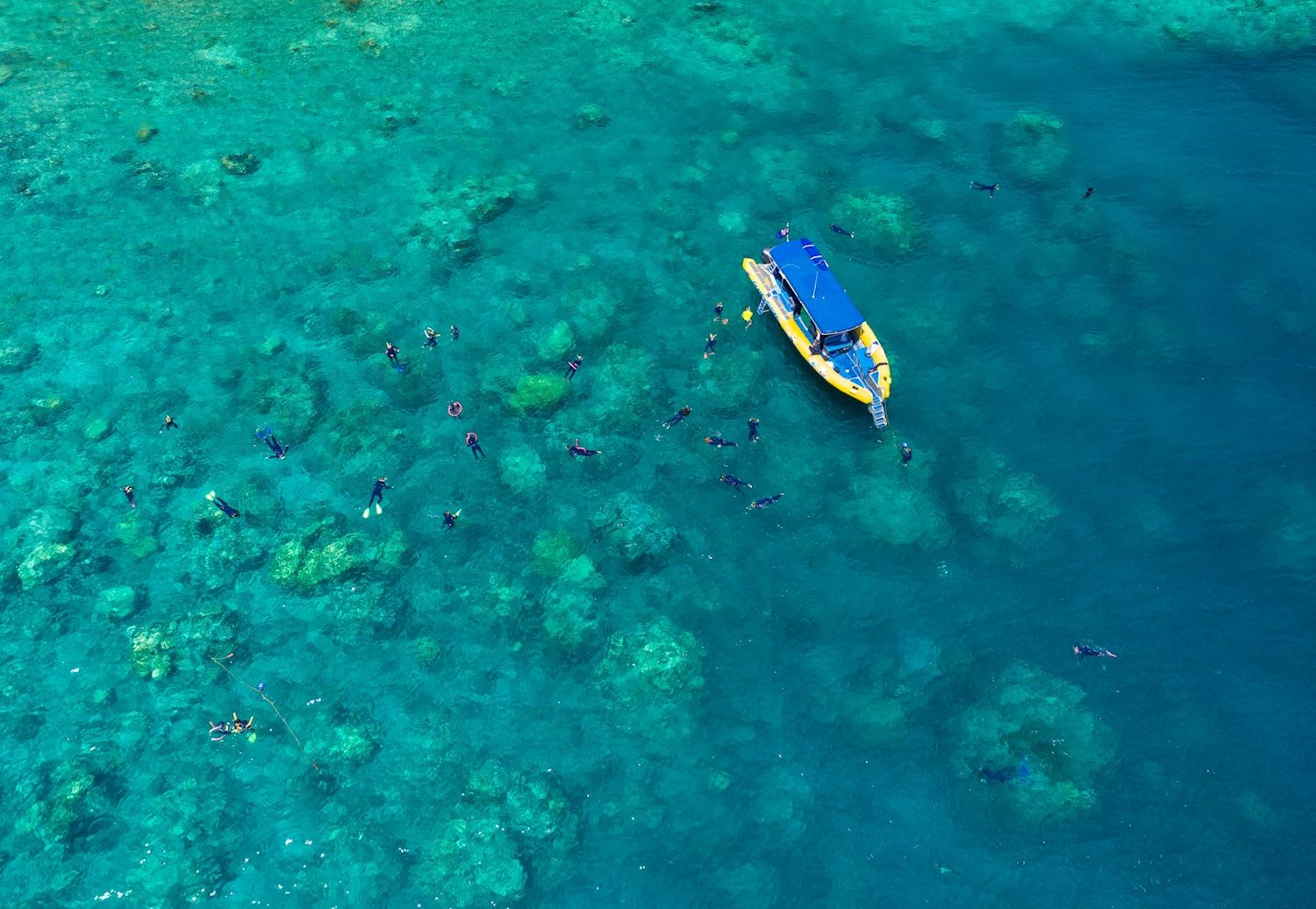 Northern Exposure Tour with Tropical Lunch - Image 2