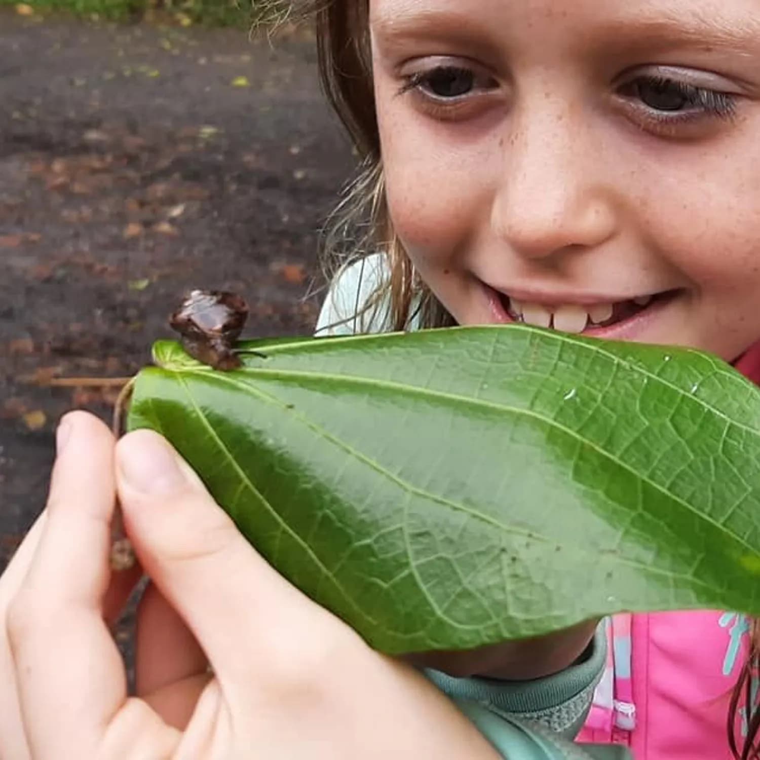 Cape Tribulation Day Tour