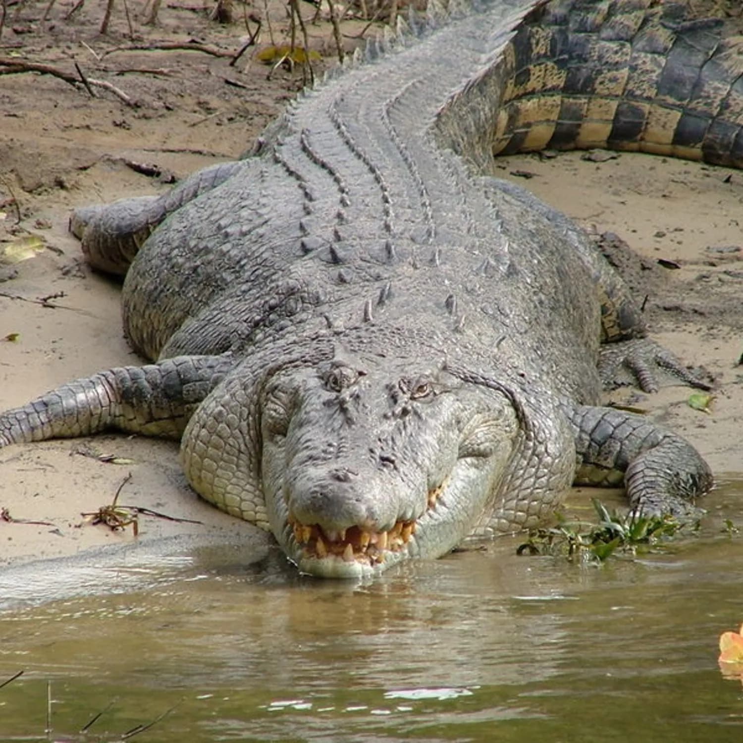 Best of Both Worlds Overnight Tour