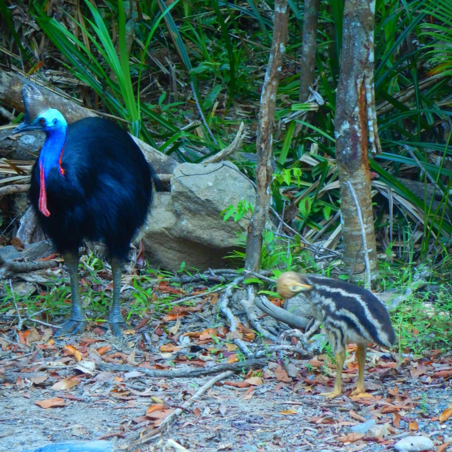 Best of Both Worlds Overnight Tour - Image 2