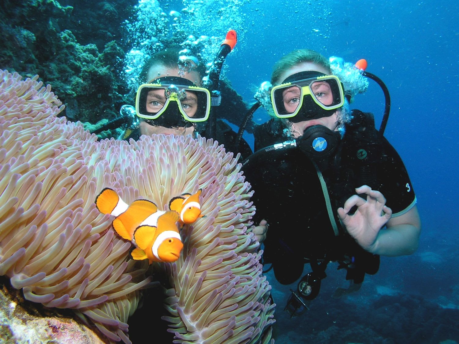 Pro Dive Cairns Divemaster Course