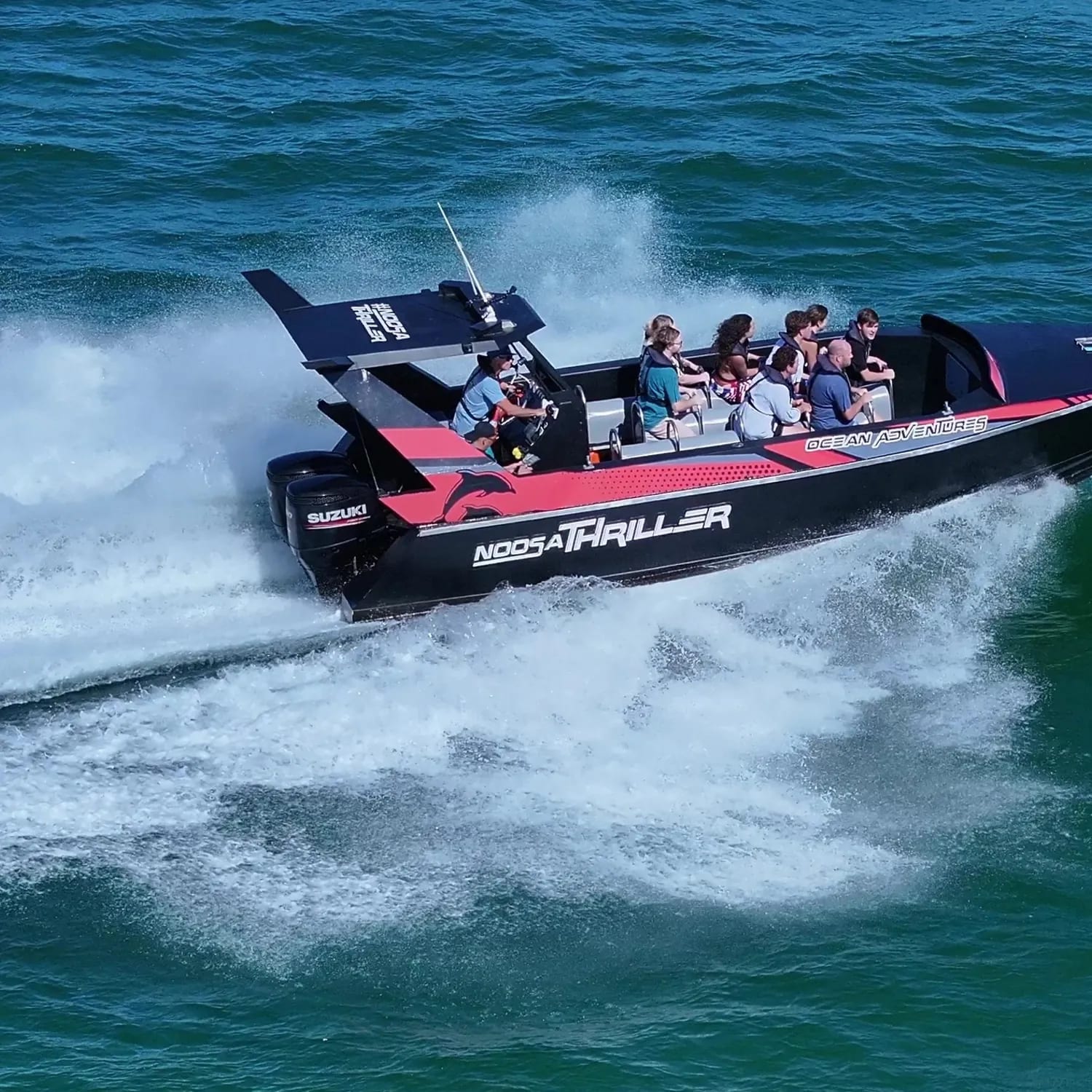 Noosa Ocean Adventures - Dolphins 