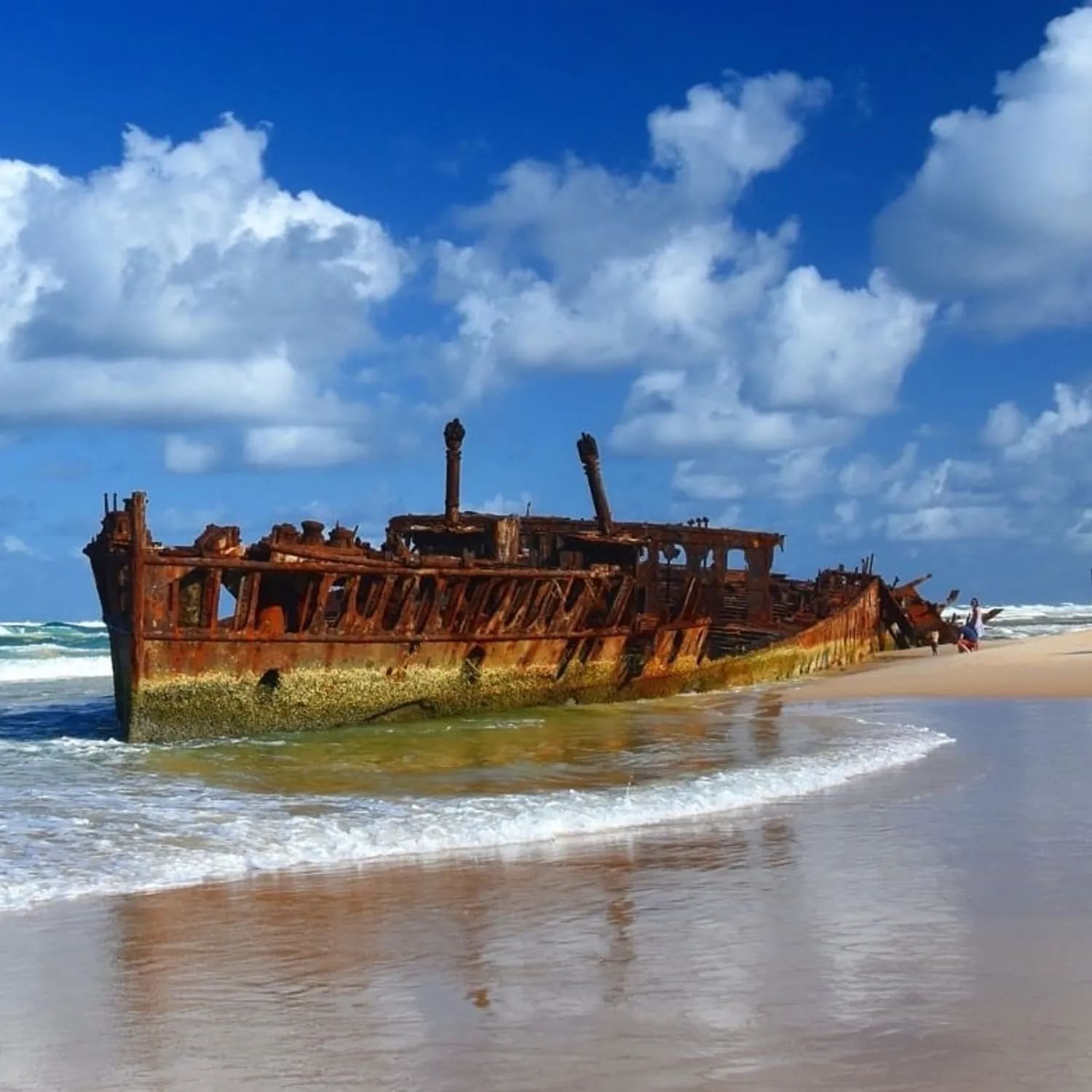 K'gari/Fraser Island Premium Nature Tour - Sunshine Coast or Noosa Pickup