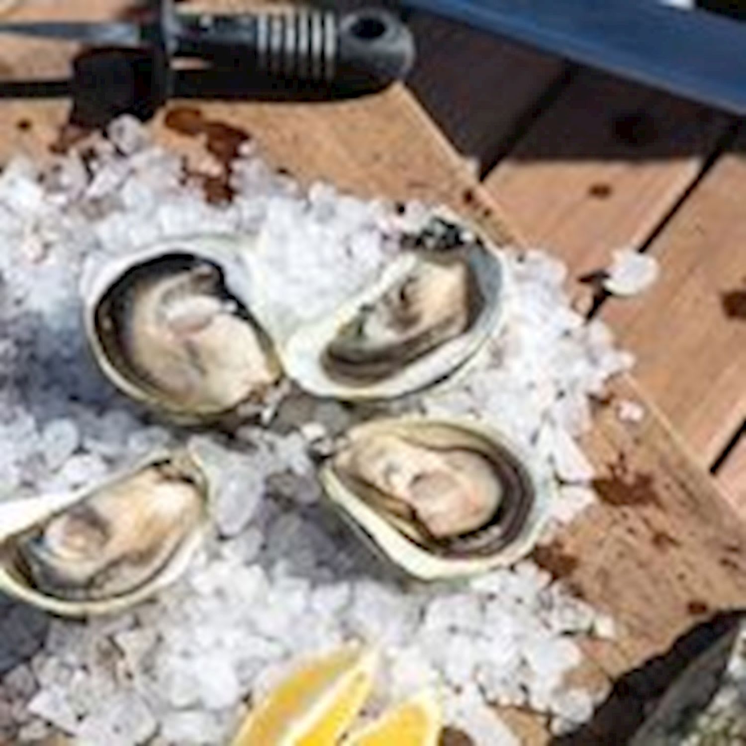 Experience Coffin Bay Short and Sweet Oyster Farm Tour - Image 3