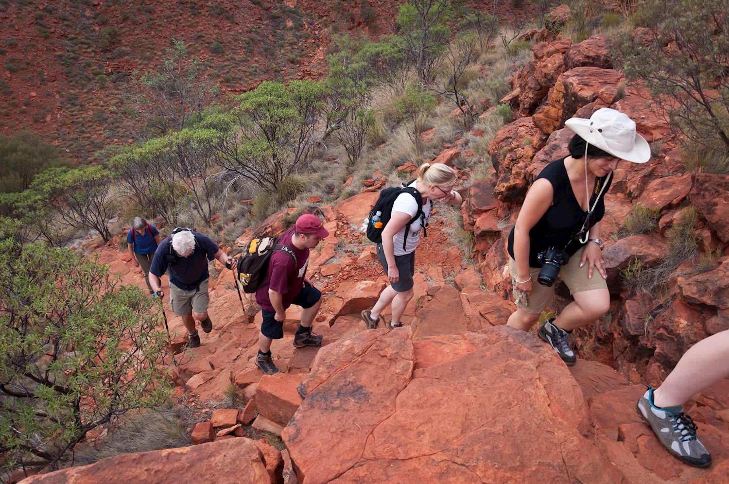 Outback Camping Adventure (Yulara to Alice Springs) - Image 3