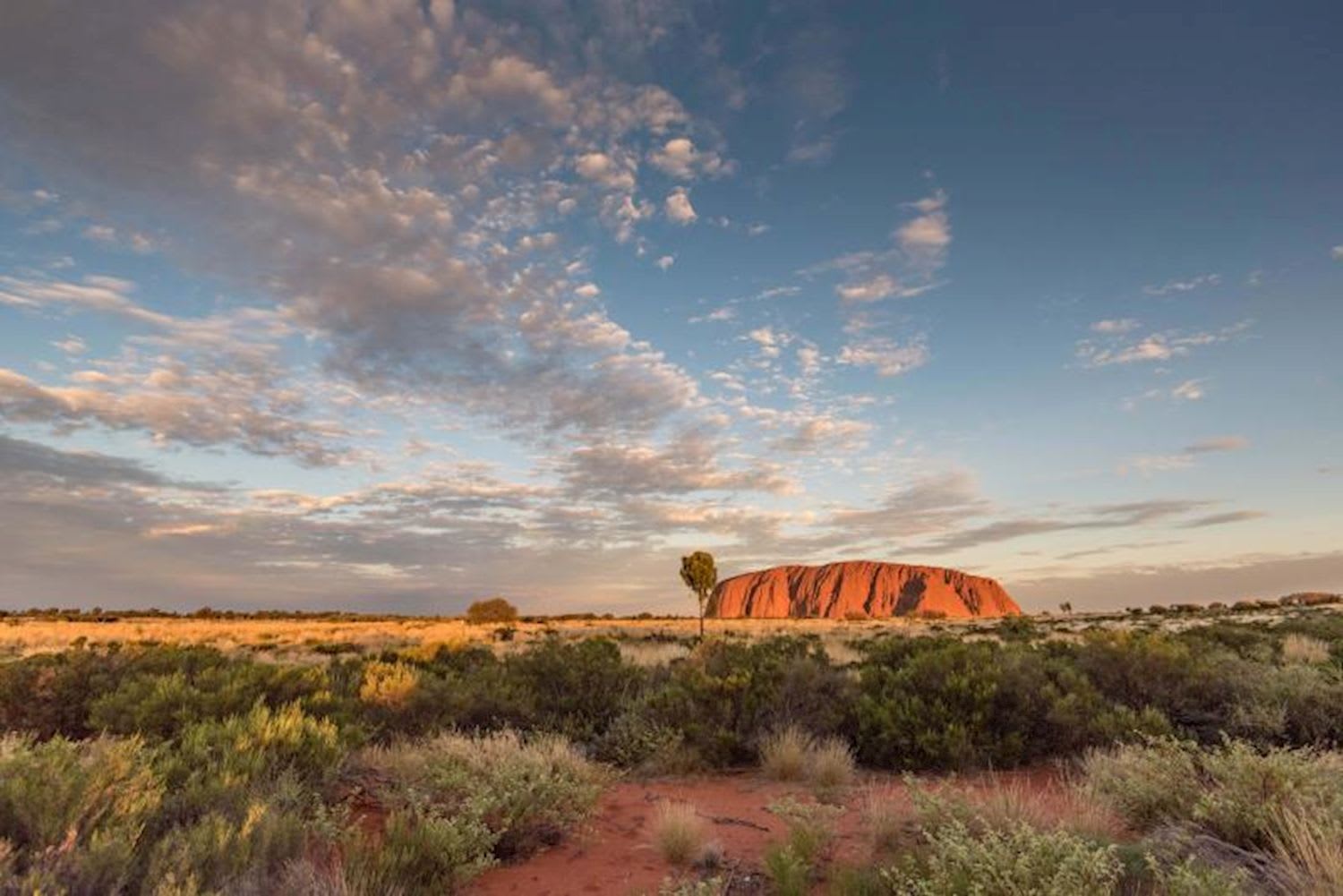 Uluru Tour with Kata Tjuta & Kings Canyon - Eco Tent (Alice Springs to Yulara) - Image 3