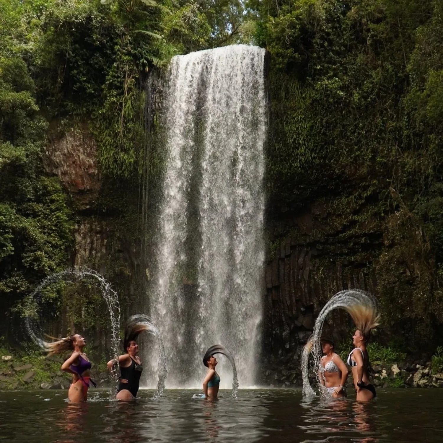 Fun, Falls & Forest Day Tour