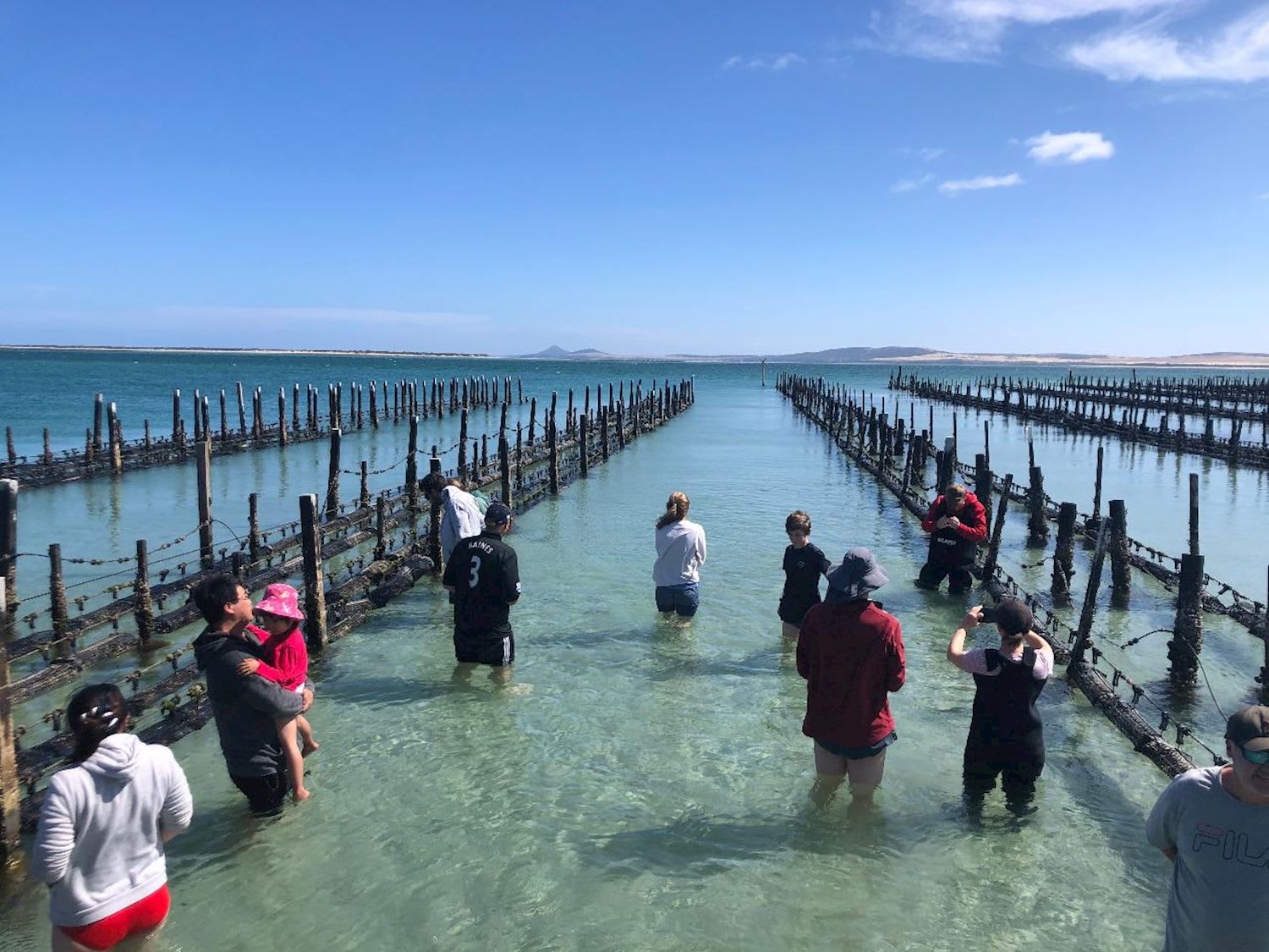 Experience Coffin Bay Oyster Farm and Bay Tour