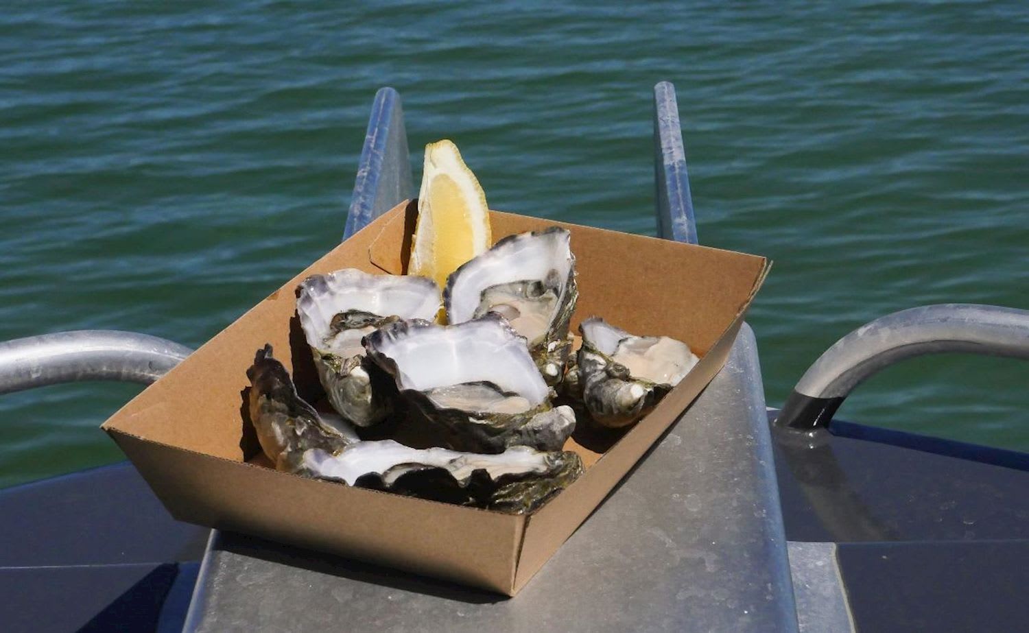 Experience Coffin Bay Short and Sweet Oyster Farm Tour
