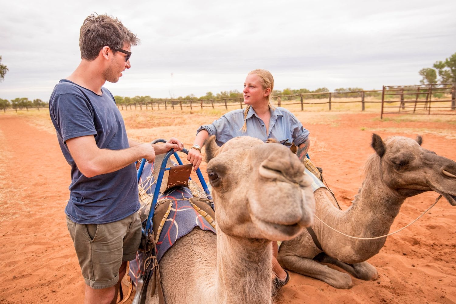 Uluru Tour with Kata Tjuta & Kings Canyon - Eco Tent (Yulara to Alice Springs) (formerly Uluru Adventure)