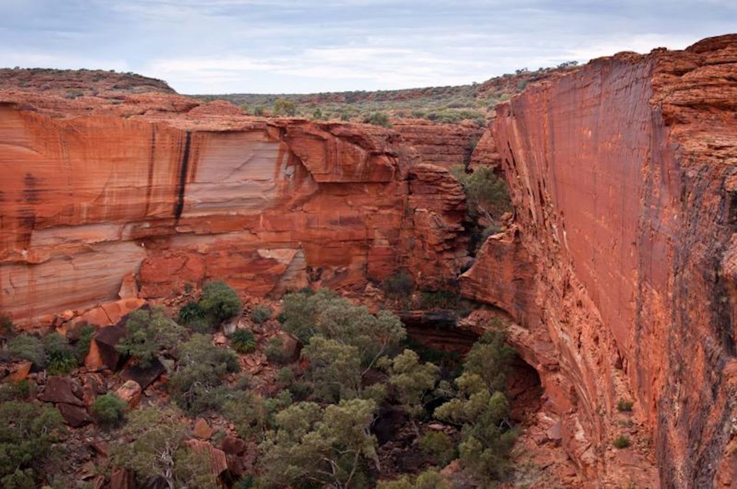 Uluru Adventure (Yulara to Yulara)