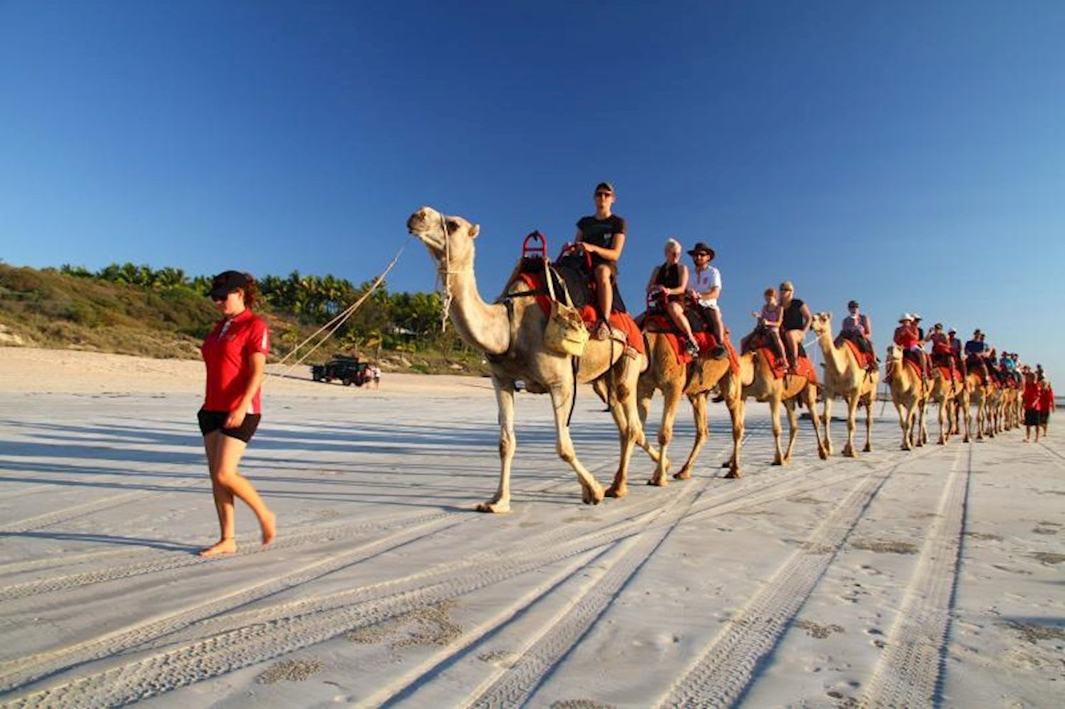 Darwin to Perth Adventure Combo (DB10 + BP10) (18+) - No Accom in Broome