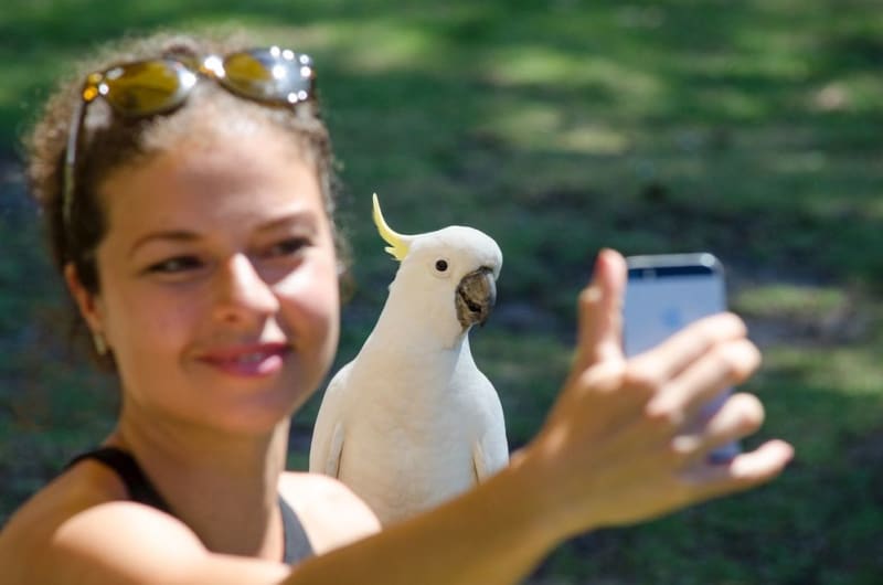 Great Ocean Road to Grampians 3 Day (Private Double/Twin)